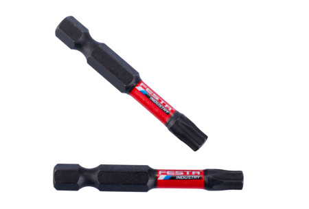 Torsionsbit-Set INDUSTRY | 2 Stück T30