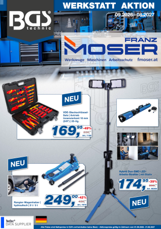Werkstatt-Aktion BGS 