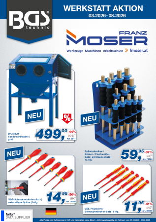 Werkstatt-Aktion BGS 